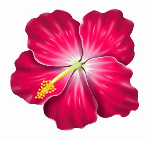 Weitere Ideen zu hibiskus, hibiskusbl&252;ten, blumen. . Clip art hibiscus flower